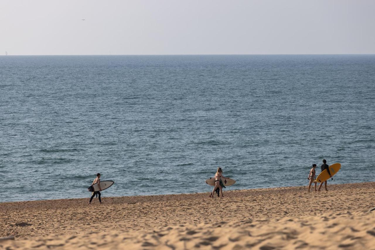 Village Vacances La Foret Des Landes Tarnos Eksteriør bilde