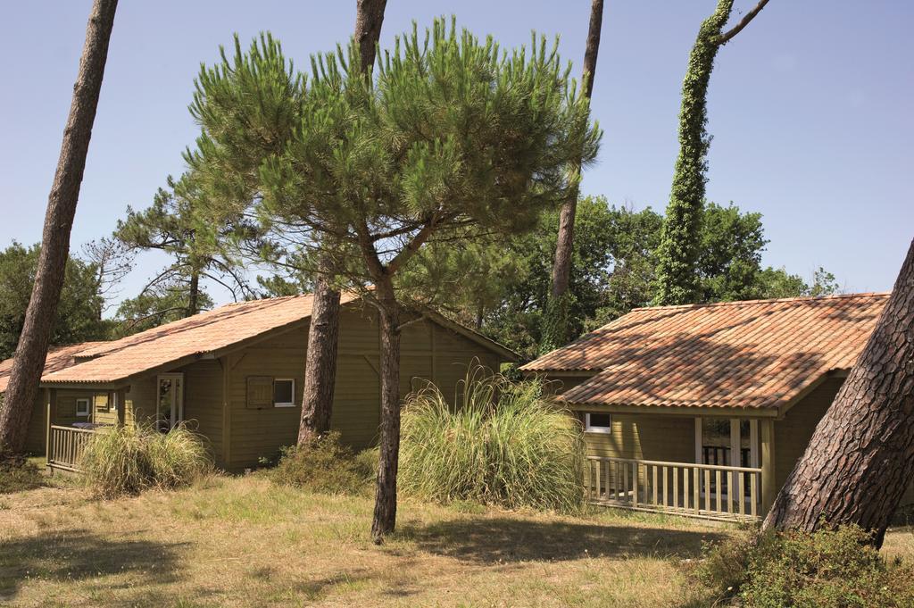 Village Vacances La Foret Des Landes Tarnos Eksteriør bilde