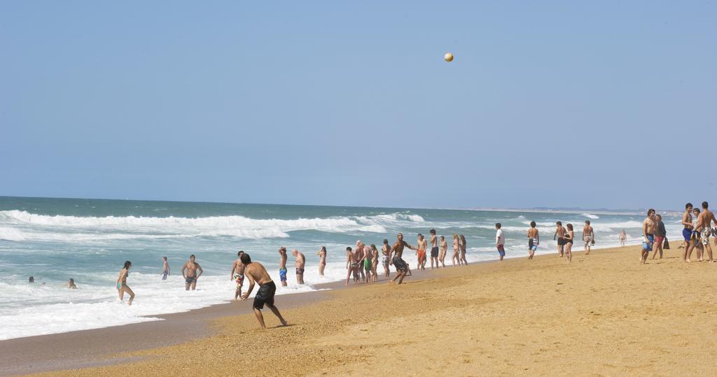 Village Vacances La Foret Des Landes Tarnos Eksteriør bilde